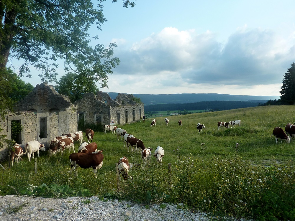 Mit Vallée Verte in der Vallée Verte